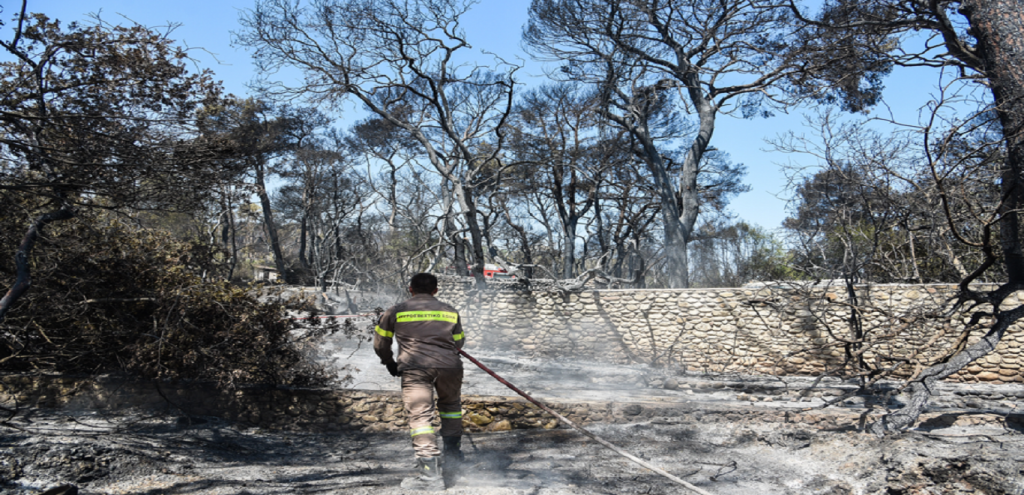 Φωτιά Εύβοια: Μαύρισε η θάλασσα στις Ροβιές από τη στάχτη (φώτο)