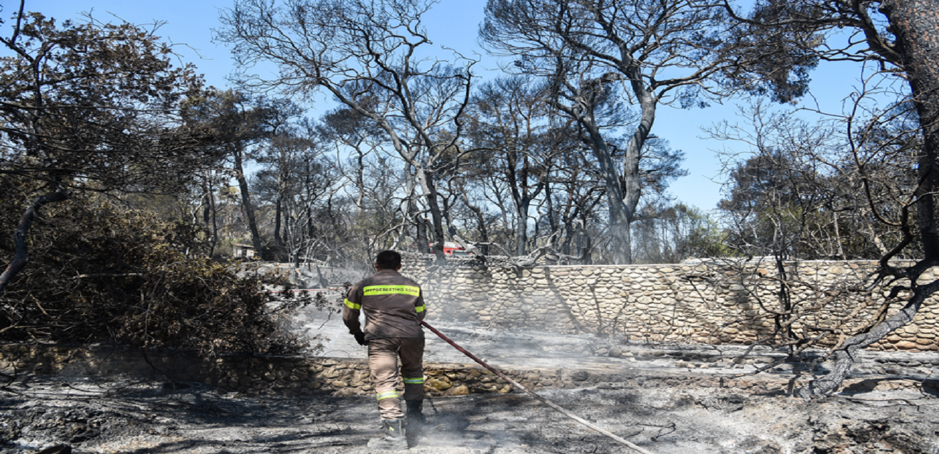 Φωτιά Εύβοια: Μαύρισε η θάλασσα στις Ροβιές από τη στάχτη (φώτο)