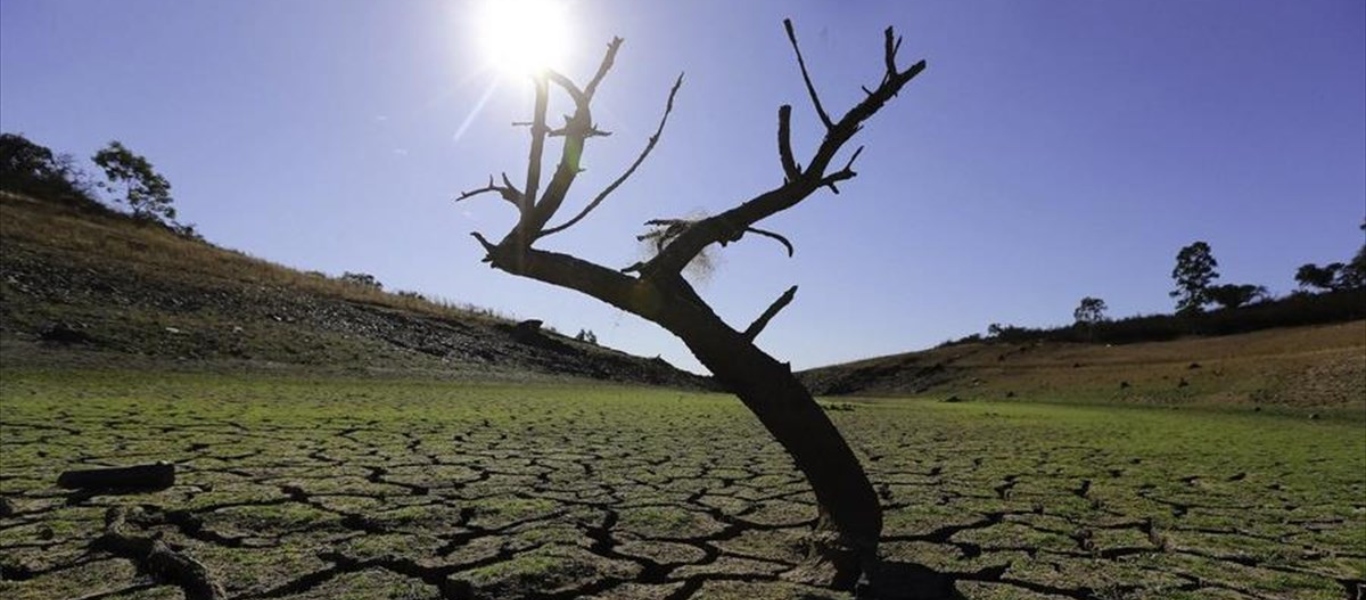 Δυσοίωνη πρόβλεψη από τον ΟΗΕ – Θα εξαφανιστούν 1 εκατ. είδη τις επόμενες δεκαετίες