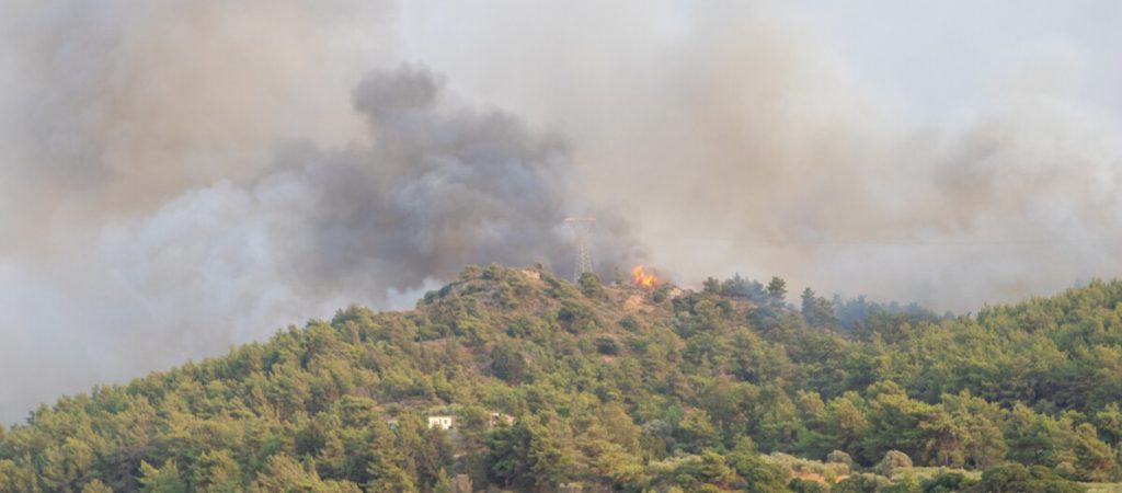 Περιπολίες σε δασικές περιοχές στην Ρόδο – Ο ΕΛΓΑ καταγράφει τις ζημιές στα καμένα