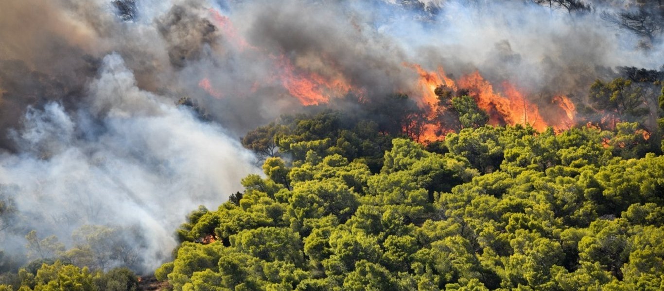 Φωτιά στα Πετροκέρασα Θεσσαλονίκης – Απειλούνται οικισμοί