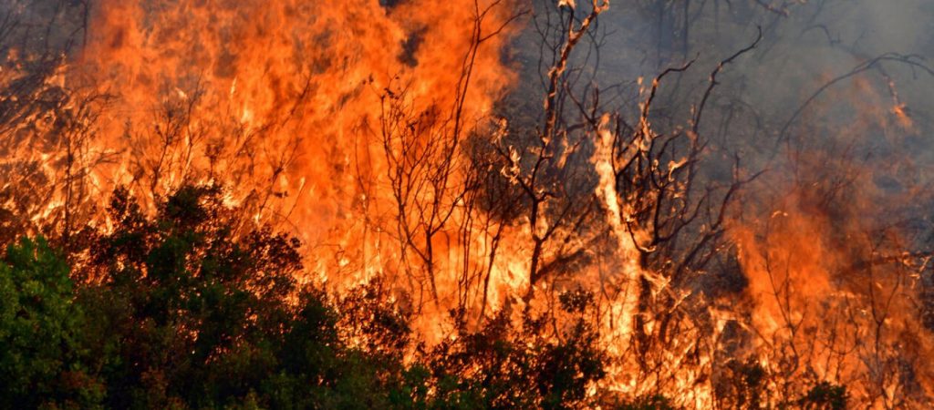 Φωτιά στην Κρήτη: Συνελήφθη άνδρας για εμπρησμό κοντά σε βενζινάδικο