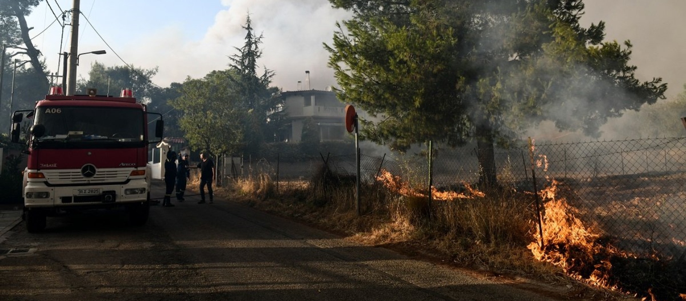 Παραδόθηκε στις φλόγες το Κρυονέρι: Μία ανάσα από το Καπανδρίτι η φωτιά! – Κάηκαν όλα, στέλνουν πολίτες στον Ωρωπό (upd)