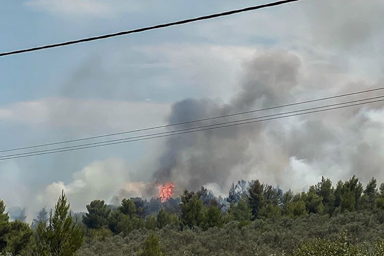 Μεγάλη φωτιά στον Θεολόγο – Δόθηκε εντολή εκκένωσης (βίντεο)