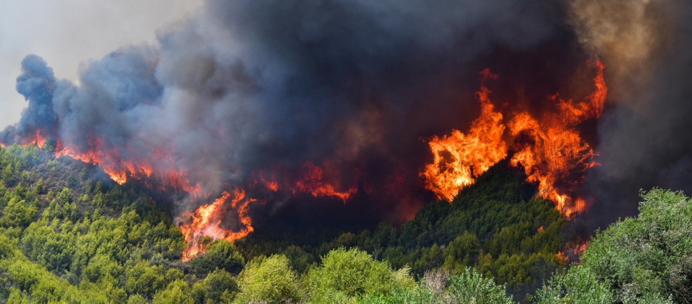 Meteo: «Αντίπαλος» της κατάσβεσης των φωτιών οι δυνατοί άνεμοι – Υψηλός κίνδυνος για δασικές πυρκαγιές