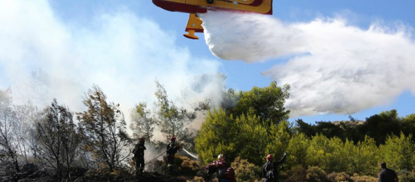 Φωτιά στη Μαλεσίνα: Επιχείρηση του Λιμενικού για την απομάκρυνση κατοίκων από Θεολόγο – Λεκούνα