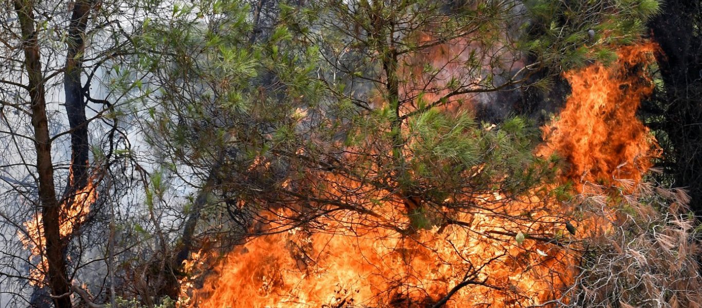 ΓΓΠΠ: Πολύ υψηλός ο κίνδυνος πυρκαγιάς αύριο για 5 Περιφέρειες (φώτο)