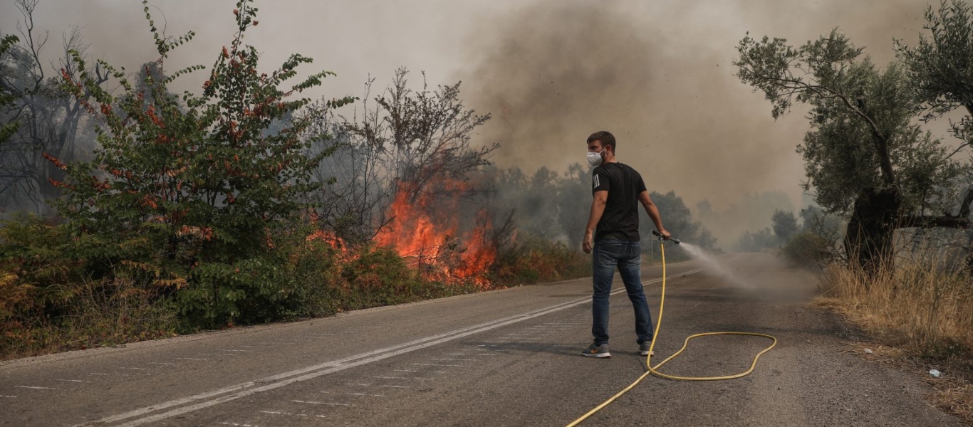 Φωτιά στην Εύβοια: O εισαγγελέας διέταξε επείγουσα έρευνα για τα αίτια της τεράστιας πυρκαγιάς