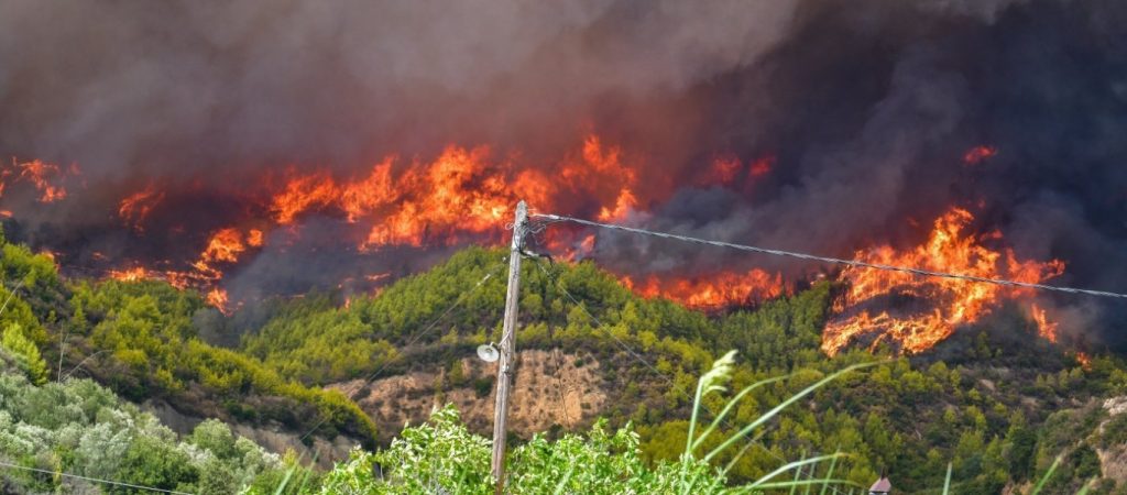 Φωτιά στην Ηλεία: Ξεκίνησε η «μάχη» με τις φλόγες – Επιχειρούν τα εναέρια μέσα