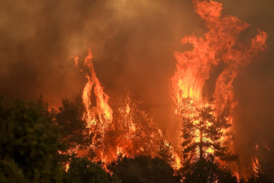 Καλαμάτα: Χειροπέδες σε 71χρονο που κατηγορείται για εμπρησμό