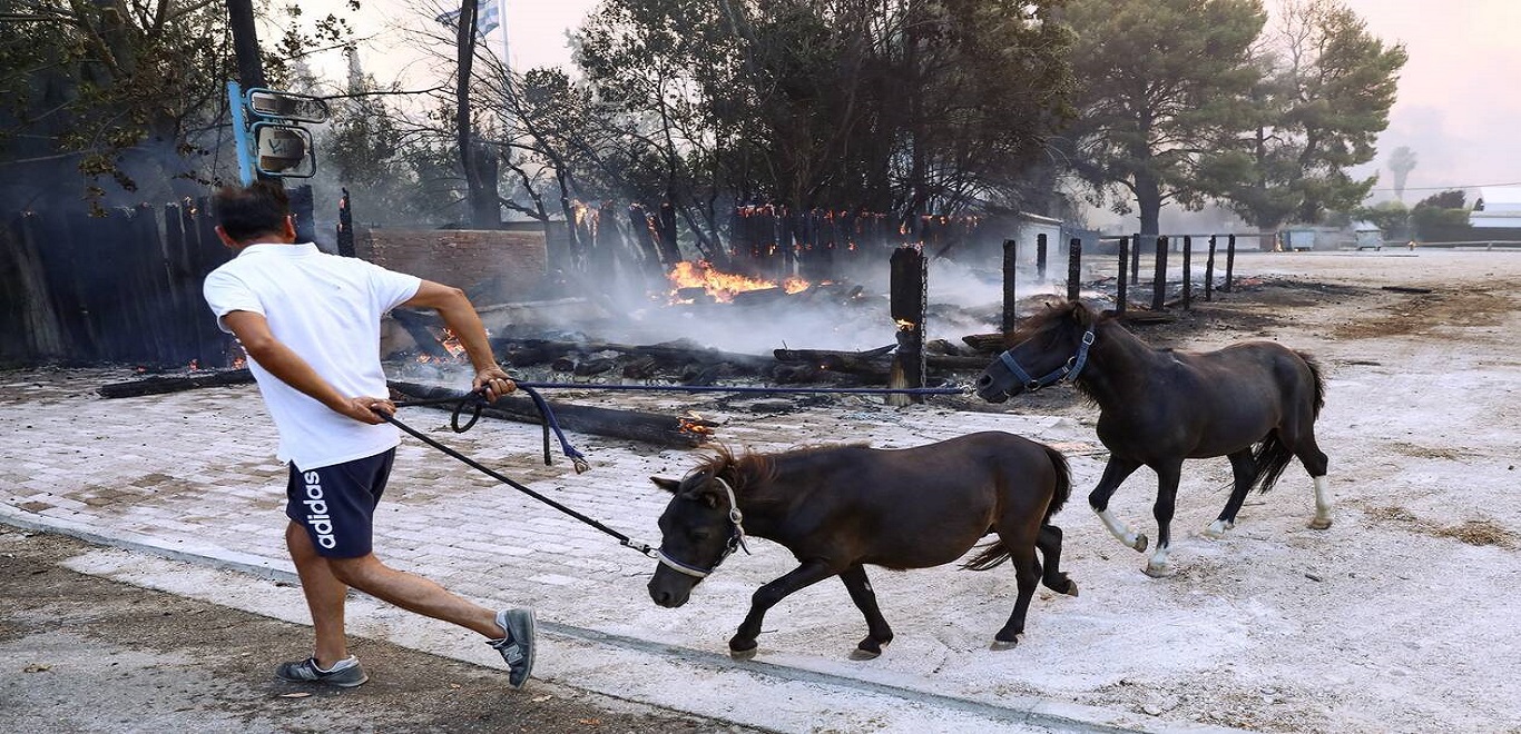 Δήμος Γαλατσίου: Παραχωρεί χώρο για φιλοξενία και φροντίδα σε ζώα πυρόπληκτων περιοχών