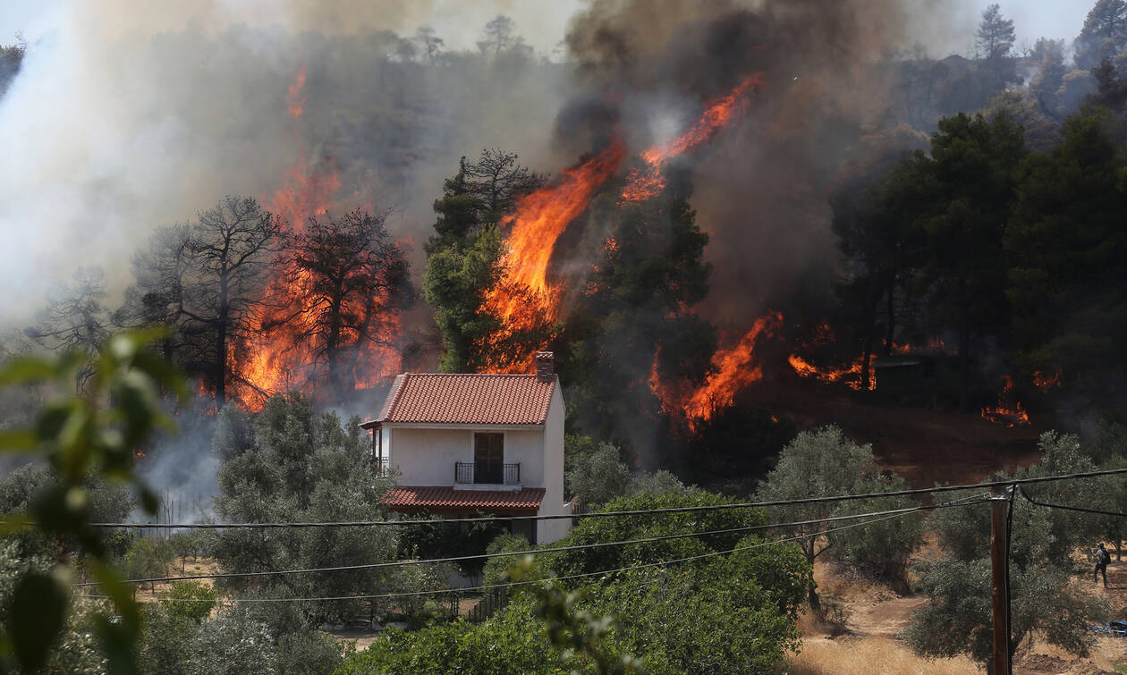 Φωτιά στην Εύβοια: Προσήχθη άτομο ύποπτο για εμπρησμό στο Ασμηνιό