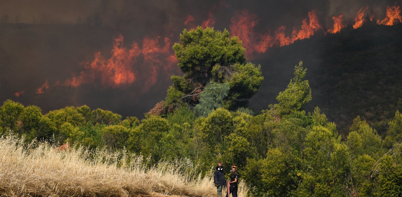 Μεσσηνία: Ενώπιον του ανακριτή θα οδηγηθούν σήμερα οι δύο συλληφθέντες για εμπρησμό