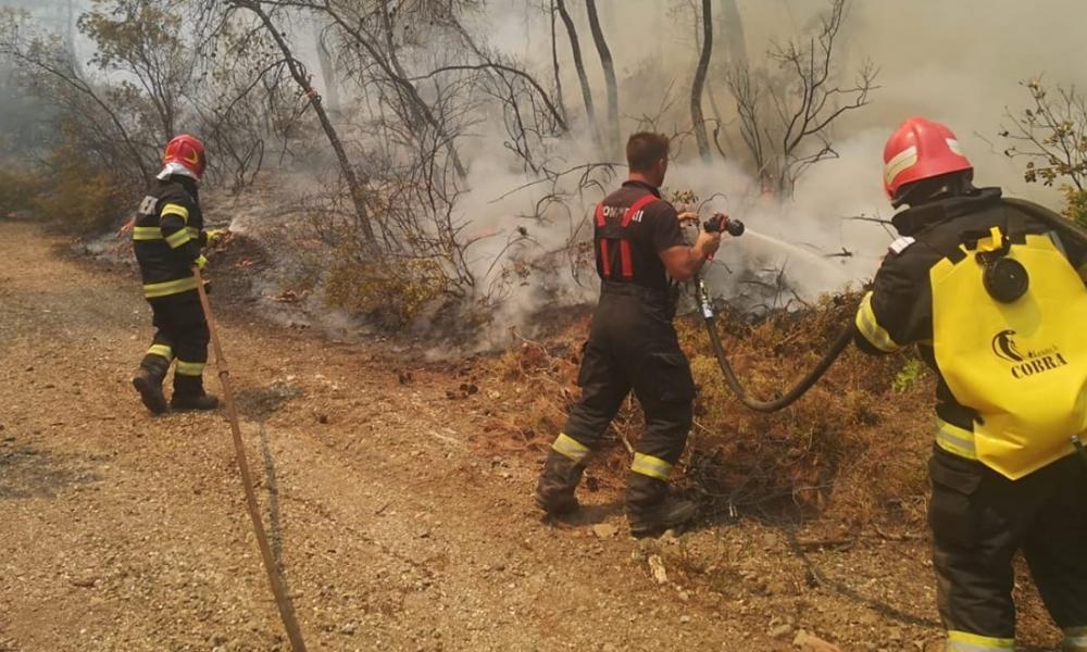 ΕΛ.ΑΣ: Δεκαοχτώ συλλήψεις για εμπρησμούς – Εθελοντής έβαζε φωτιές για να τις σβήνει ο ίδιος!