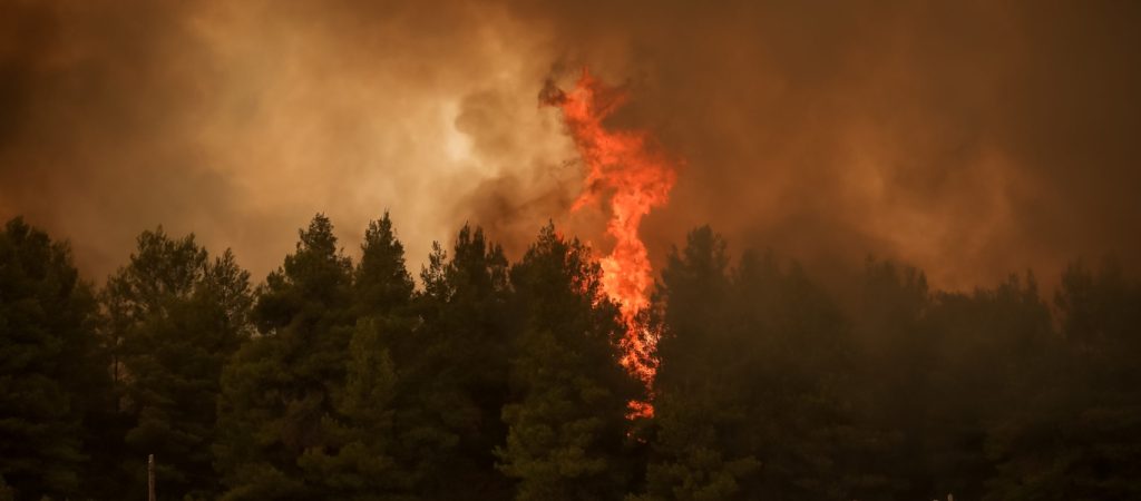 Αυξημένος ο κίνδυνος δασικών πυρκαγιών την Πέμπτη – Δείτε σε ποιες περιοχές