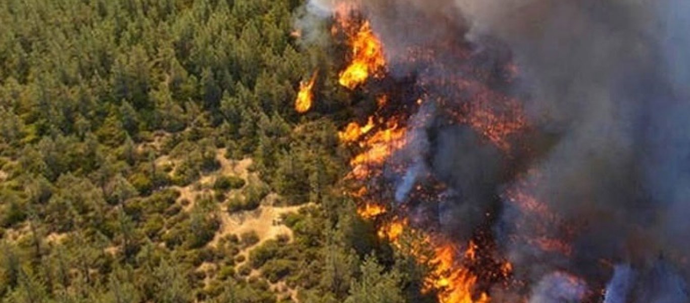 ΓΓΠΠ: Αυτές είναι οι περιοχές που έχουν υψηλό κίνδυνο εκδήλωσης πυρκαγιάς αύριο (χάρτης)