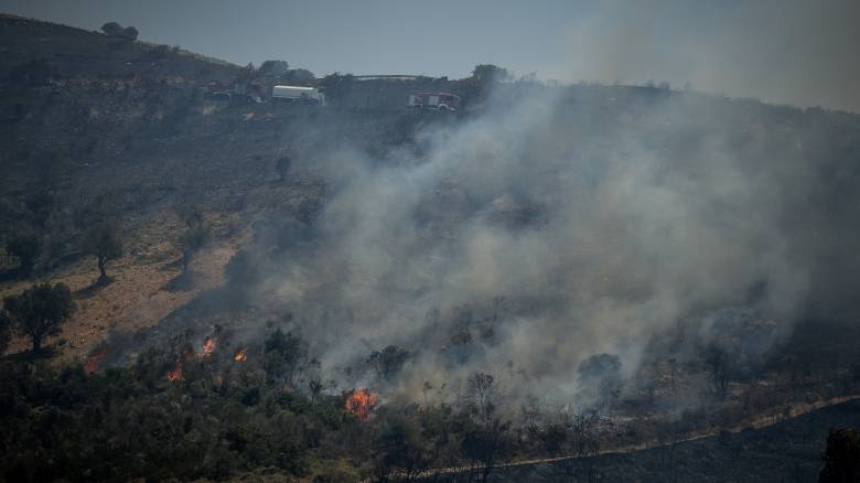 Πευκί: Έτσι ευχαρίστησαν οι κάτοικοι τα πληρώματα των πυροσβεστικών δυνάμεων (φωτο)