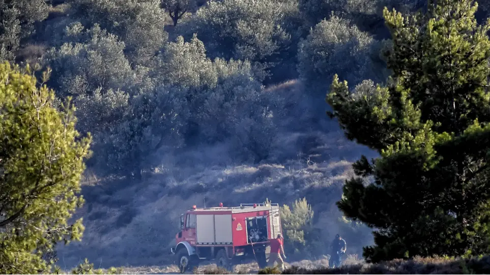 Σε εξέλιξη παραμένουν οι πυρκαγιές στα Μεσοχώρια Ευβοίας και την Αρχαία Κόρινθο