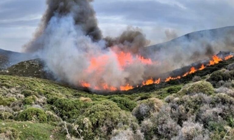 Νέος συναγερμός στην Πυροσβεστική: Φωτιά στα Βίλια Αττικής – Εκκένωση του οικισμού Άγιος Γεώργιος (upd)
