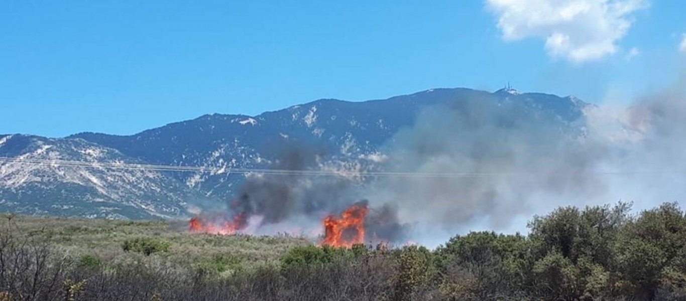 Φωτιά στην Κεφαλονιά: Στον εισαγγελέα άνδρας για εμπρησμό σε δάσος στα Δεμουτσαντάτα