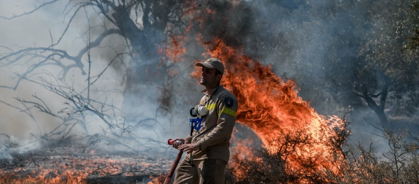 Φωτιά στα Βίλια: Ανεξέλεγκτο το πύρινο μέτωπο – Εκκενώνονται προληπτικά οικισμοί