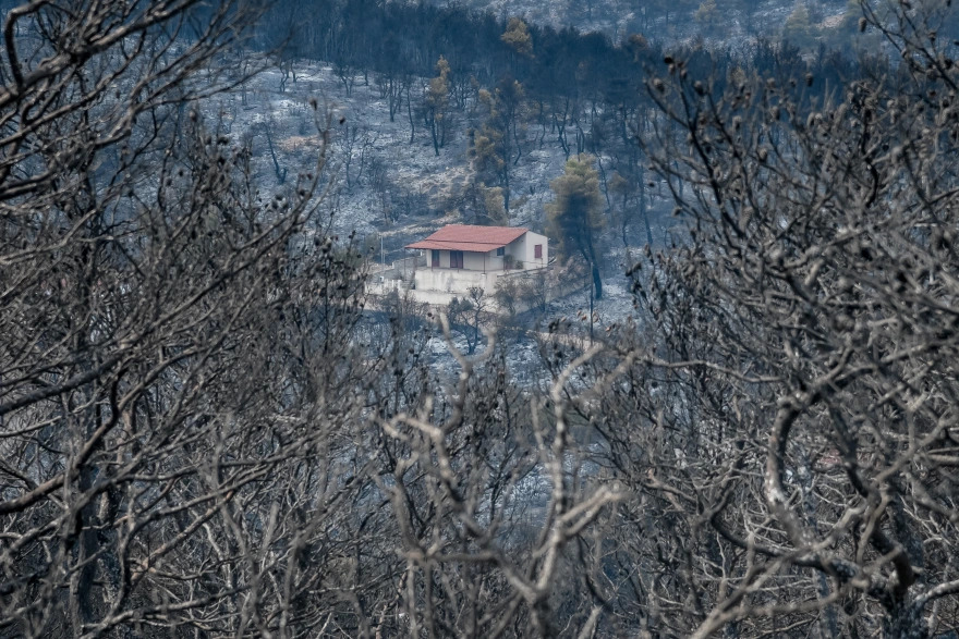 Φωτιά στα Βίλια – Αποκαρδιωτικές εικόνες: Δείτε τι άφησε πίσω της η πυρκαγιά (φώτο)