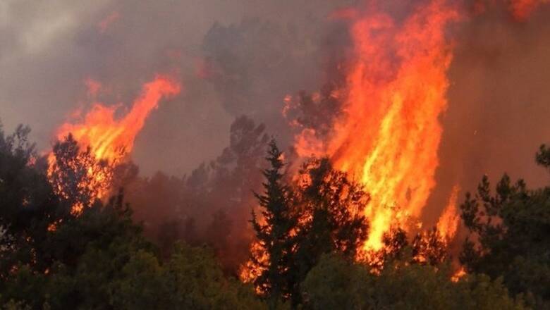 Υψηλός κίνδυνος πυρκαγιάς αύριο Σάββατο – Ποιες περιοχές αφορά