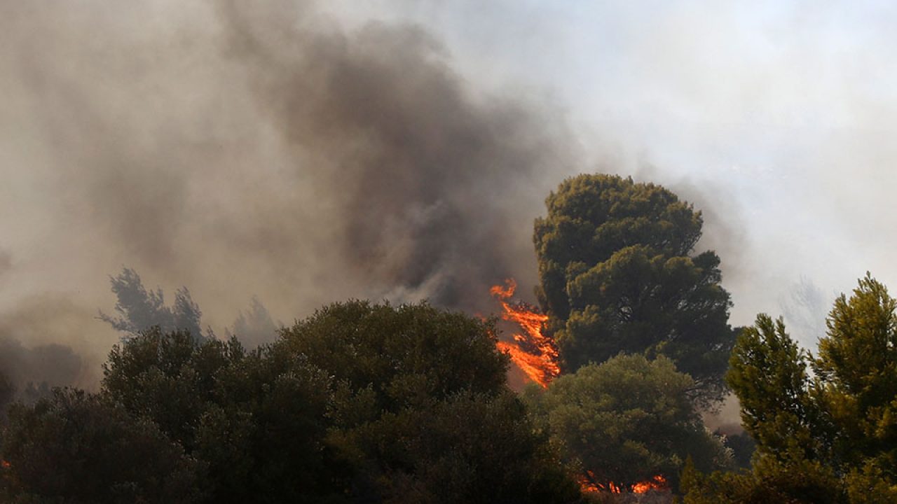 Πύργος: Υπό μερικό έλεγχο η φωτιά στην περιοχή της Μούτελης