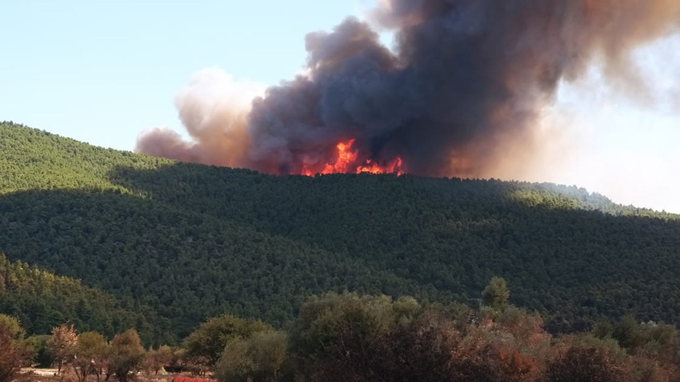 Σε ύφεση η φωτιά στα Βίλια – Φόβος για αναζωπυρώσεις