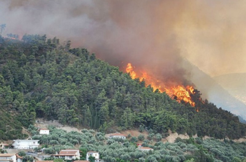 Άγιο Όρος: Υπό πλήρη έλεγχο τέθηκε η φωτιά (upd)