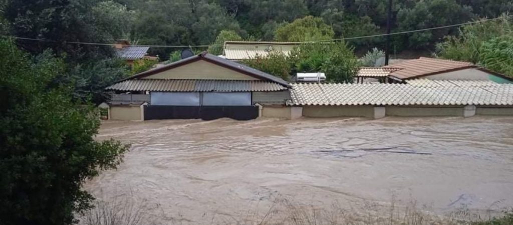 Τεράστιες καταστροφές από το πέρασμα της κακοκαιρίας στην Ηλεία – Πνίγηκαν ζώα