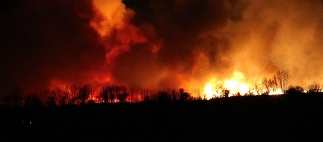 Λίμνη Στυμφαλία: Φωτιά κατακαίει τον υδροβιότοπο (βίντεο)