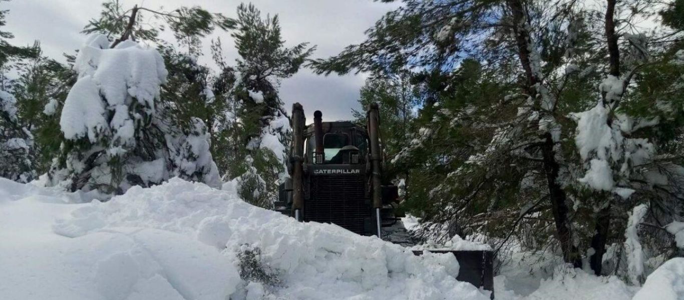 Δύο νεκροί από χιονοστιβάδα στο Ερζερούμ της Τουρκίας