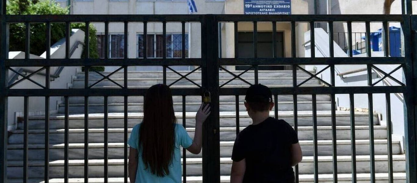 Κρούσματα λεπτοσπείρωσης σε ειδικό σχολείο στην Πυλαία – Ποντίκια μέσα και έξω από το κτήριο