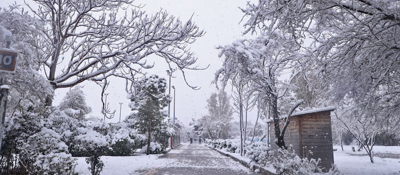 Κακοκαιρία: Στα λευκά «ντύνονται» Βίλια και Ιπποκράτειος Πολιτεία (βίντεο)