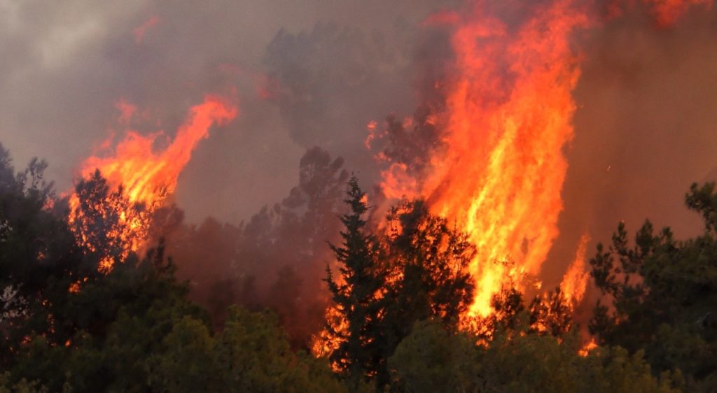 Εύβοια: Φωτιά σε δασική έκταση στο χωριό Θεολόγος