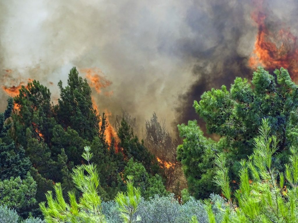 Ρόδος: Σε ύφεση η φωτιά σε δασική περιοχή  – Σε επιφυλακή το βράδυ η πυροσβεστική