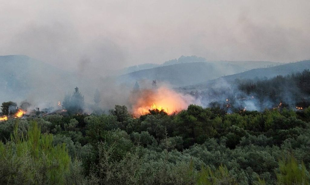 Σε εξέλιξη φωτιά στη Ζάκυνθο – Συναγερμός στο χωριό Κοιλιωμένος