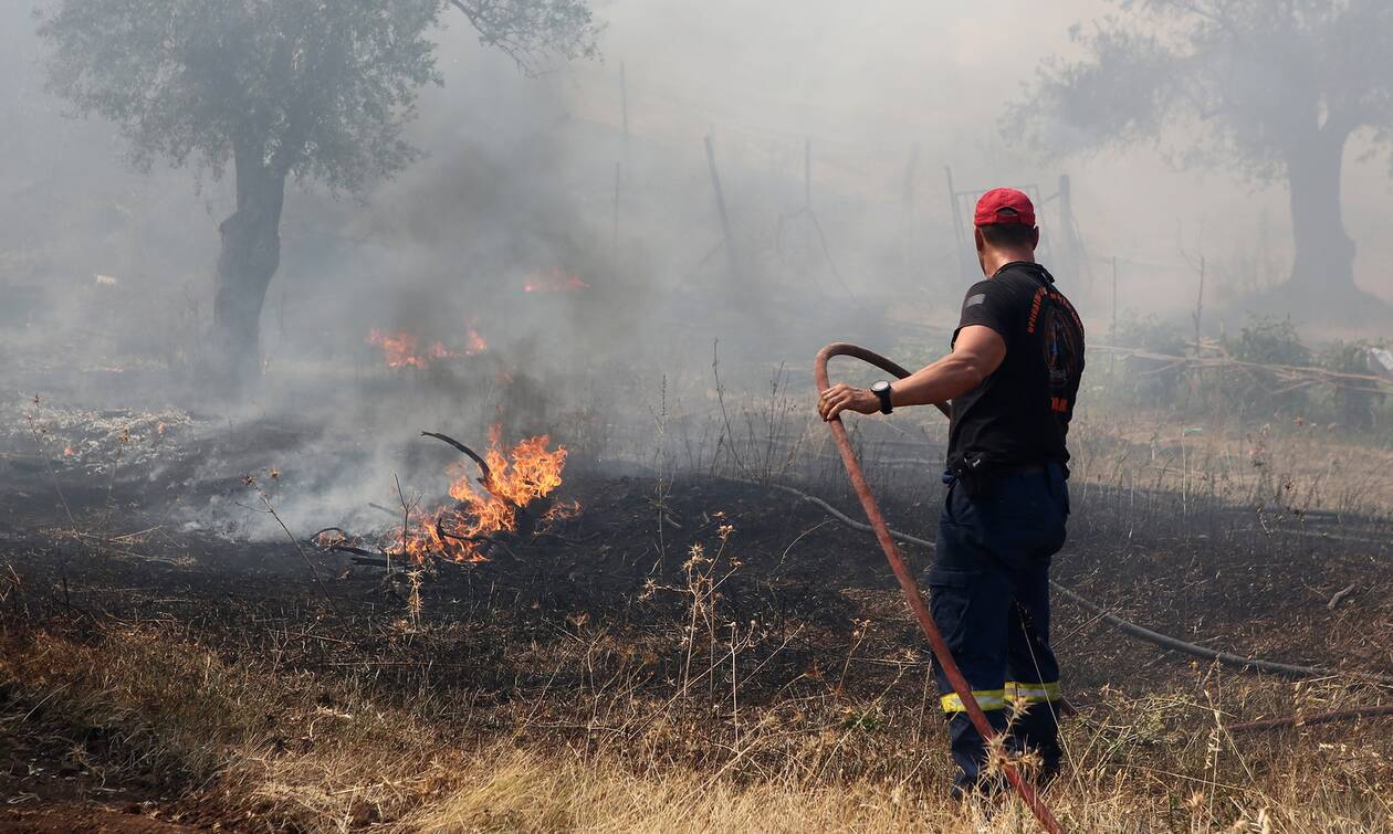 Σε εξέλιξη φωτιά σε δασική έκταση στην Κάρυστο