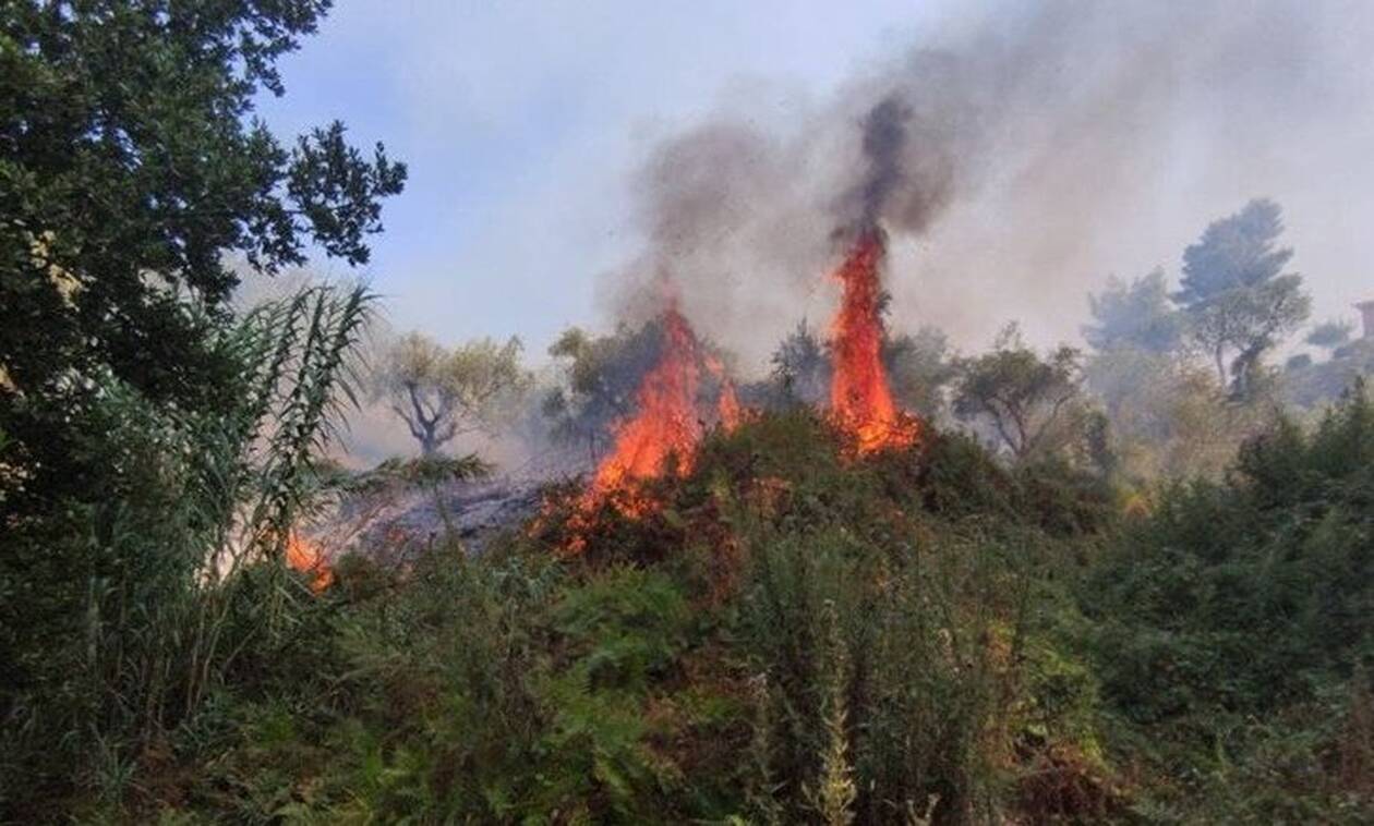 Πολιτική Προστασία: Ξεκινά από σήμερα η έκδοση του χάρτη πρόβλεψης κινδύνου πυρκαγιάς