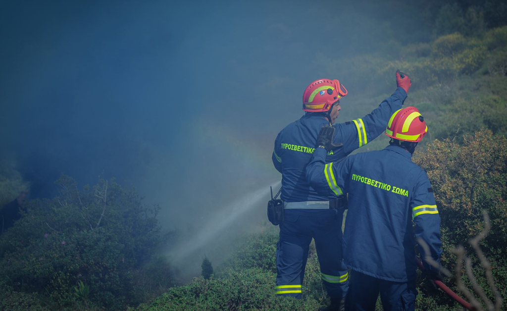 Φωτιά στην περιοχή Νεράιδα Ηλείας – Προκλήθηκε από κεραυνό