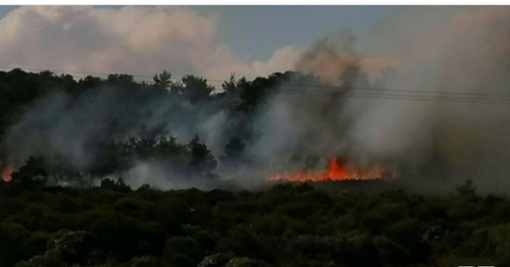 Σε πλήρη εξέλιξη η πυρκαγιά στο Άγιον Όρος – Δύο τα πύρινα μέτωπα