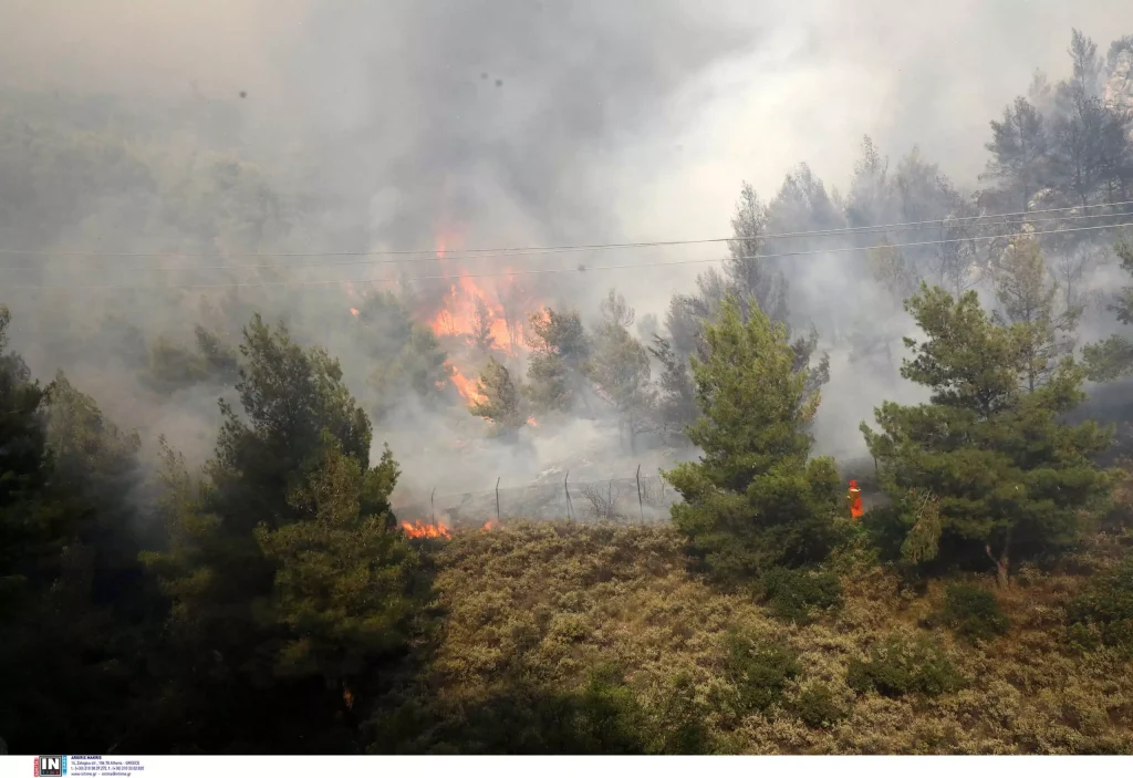 Φωτιά στα Νεόκτιστα στον Ασπρόπυργο Αττικής – Κινητοποίηση της Πυροσβεστικής