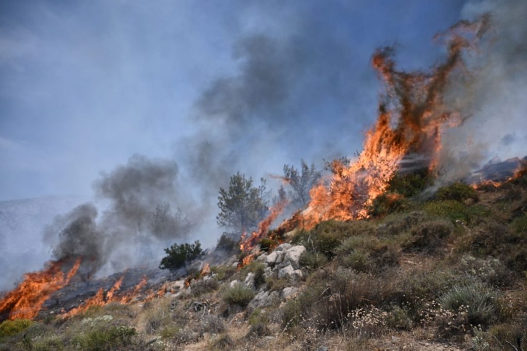 Φυλή: Ξέσπασε φωτιά κοντά στο γήπεδο του Θρασύβουλου