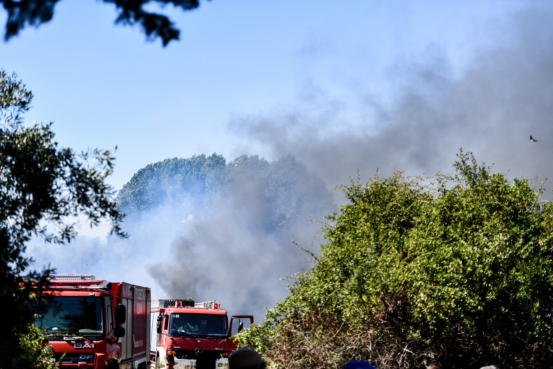 Σε ύφεση η πυρκαγιά στην Φέριζα Σαρωνικού