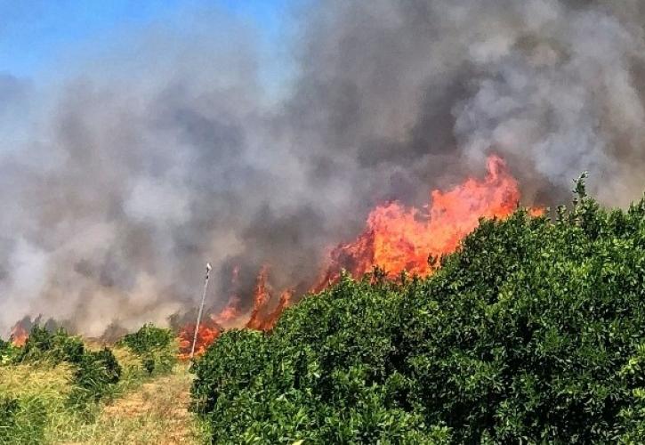 Φωτιά στην Αχαΐα: Μια σύλληψη για την πυρκαγιά στην περιοχή της Καλλιθέας