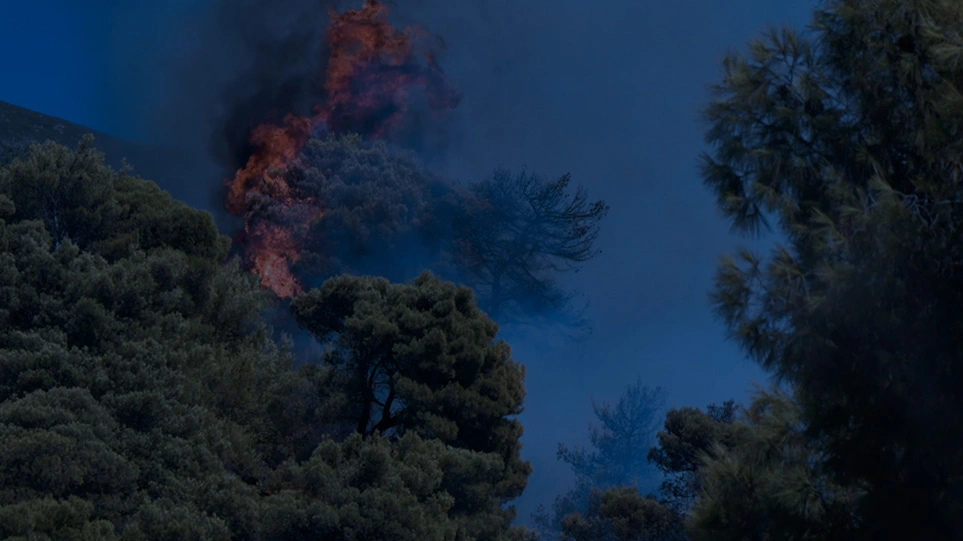 Σε εξέλιξη παραμένει η φωτιά στην Καλλιθέα της Πάτρας