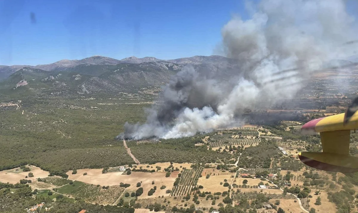 Φωτιά στα Μέγαρα: Αναφορές για καμένα σπίτια