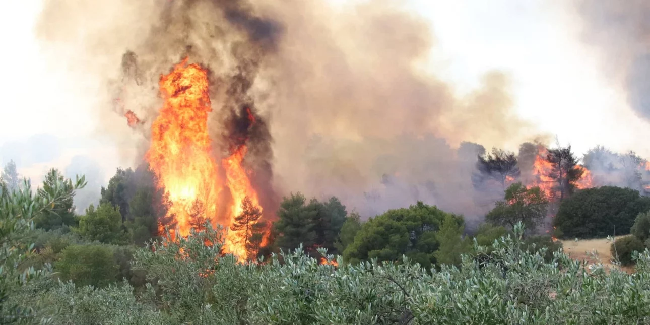 Κυκλοφοριακές ρυθμίσεις στα Μέγαρα λόγω της μεγάλης πυρκαγιάς 