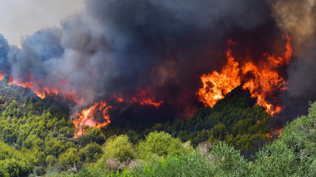 Σε πύρινο κλοιό η Ηλεία – Απειλείται ο αρχαιολογικός χώρος στην Ήλιδα